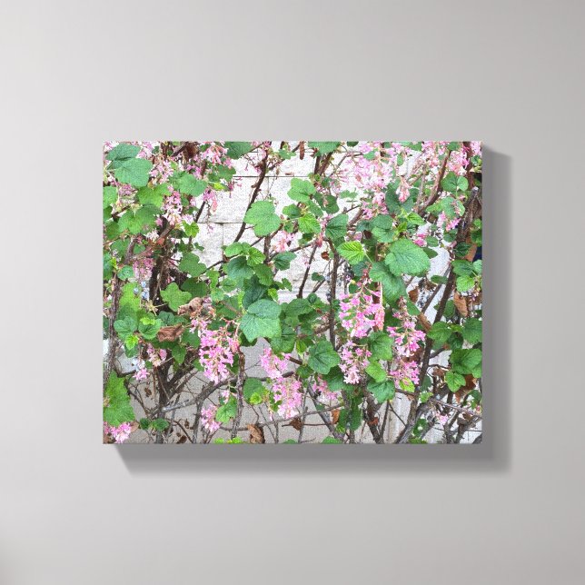 Lienzo Una California floreciente: Primavera En Rosa (Anverso)