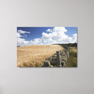 Lienzo Una cerca del alambre de púas construida a lo