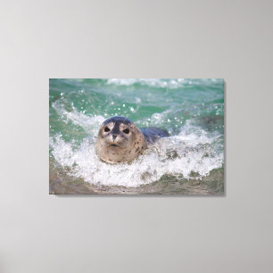 Lienzo Una cría de foca haciendo surf