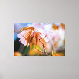 Lienzo Una Encantadora Flor De Sakura En Una Tormenta En 