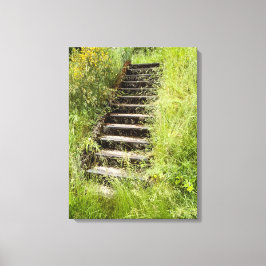 Lienzo Una escalera en el césped