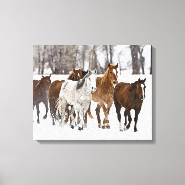 Lienzo Una escena invernal de caballos en carrera (Anverso)