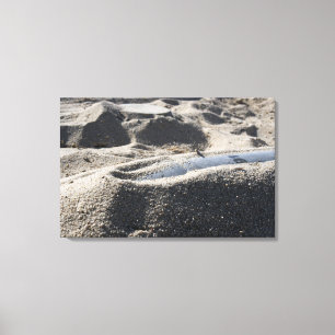 Lienzo Una exhibición estática de una cáscara de la