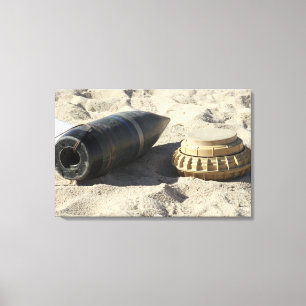 Lienzo Una exhibición estática de una concha de artefacto