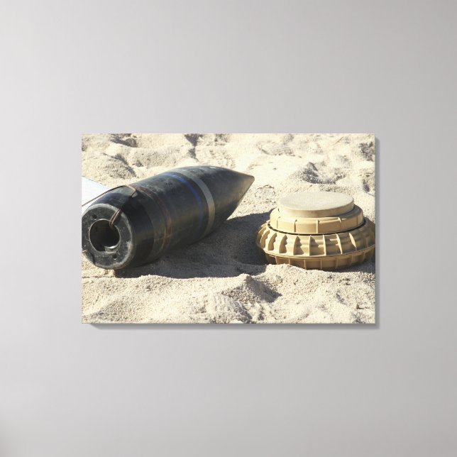 Lienzo Una exhibición estática de una concha de artefacto (Anverso)