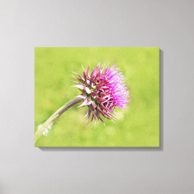 Lienzo Una flor de guiño (Anverso)