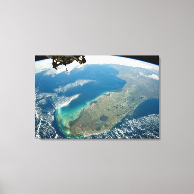 Lienzo Una Florida Oblíque, En La Costa Sureste (Anverso)