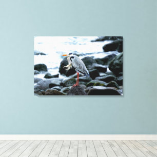 Lienzo Una garra solitaria