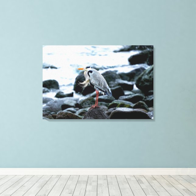 Lienzo Una garra solitaria (Insitu (piso de madera))