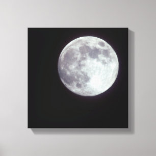 Lienzo Una luna llena brillante en un cielo negro nocturn