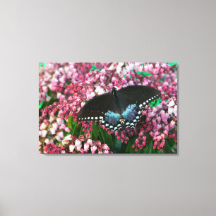 Lienzo Una Mariposa de Azufre   En La Familia Phoebis