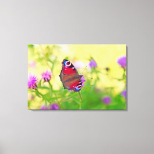 Lienzo Una mariposa de pavo real de colores vivos es