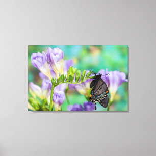 Lienzo Una mariposa monarca   Danaus Plexippus