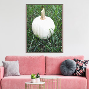 Lienzo Una pequeña calabaza blanca