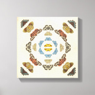 Lienzo Una pintura rara de mariposas y de polillas