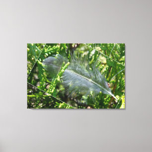 Lienzo Una pluma perdida