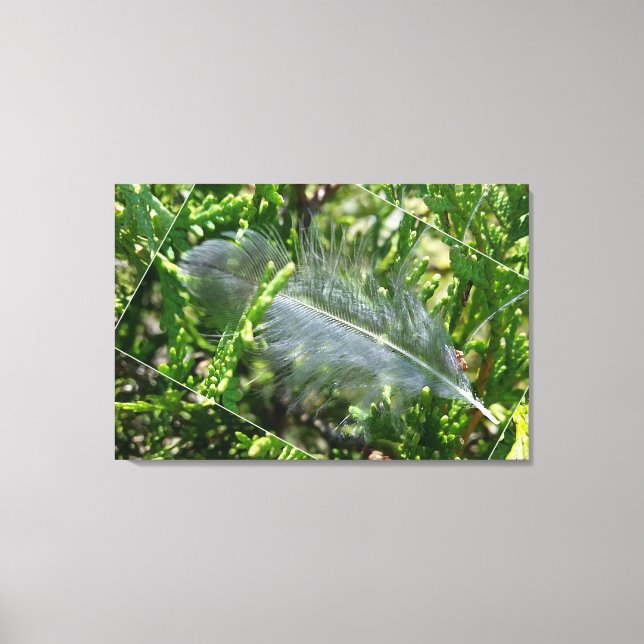 Lienzo Una pluma perdida (Anverso)