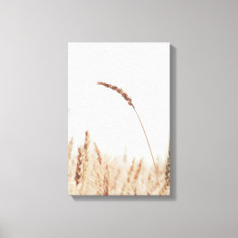 Lienzo Una Sola Cabeza De Trigo Dorado A La Luz