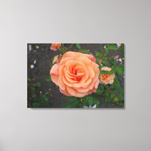 Lienzo Una Sola Flor de Naranja