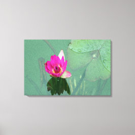 Lienzo Una sola lirio rosa en un estanque