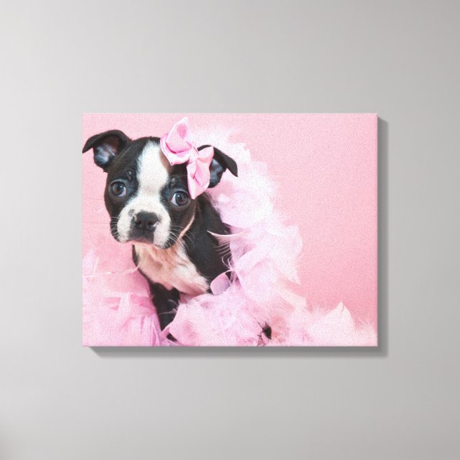 Lienzo Una súper Cuidada Cachorrona De Boston Con Un Boa (Anverso)