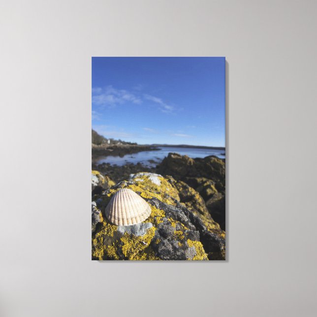 Lienzo Una Vela Se Siente En Una Roca | Dumfries, Escocia (Anverso)