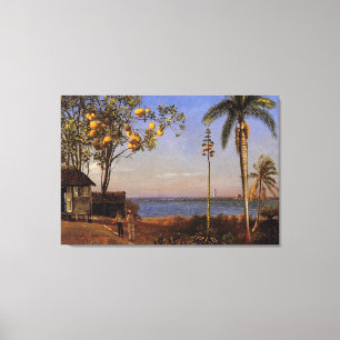 Lienzo Una vista en las Bahamas de Bierstadt Albert.