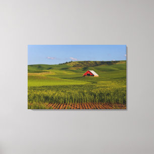 Lienzo Una vista panorámica de un granero en Moscú Idaho.