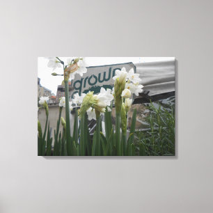 Lienzo Union Square, Nueva York, Estados Unidos