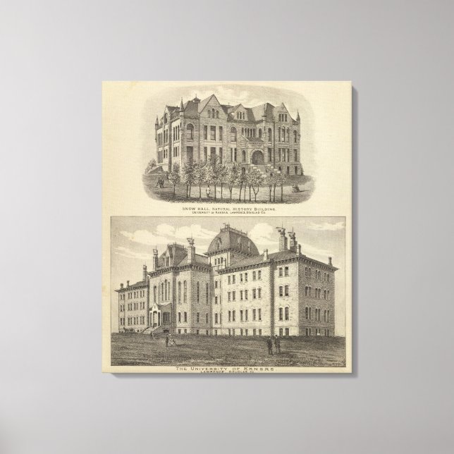 Lienzo Universidad de Kansas (Anverso)