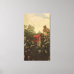 Lienzo Upland Cotton