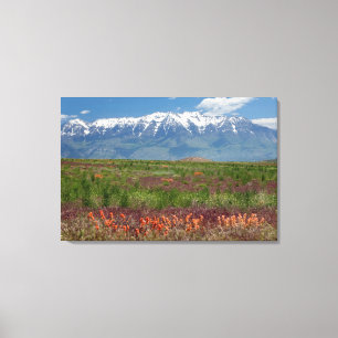 Lienzo Utah, EE. UU. El monte Timpanogos se eleva sobre