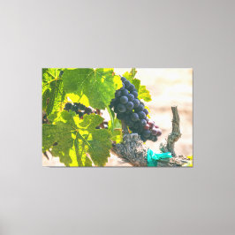 Lienzo Uvas en vinagre