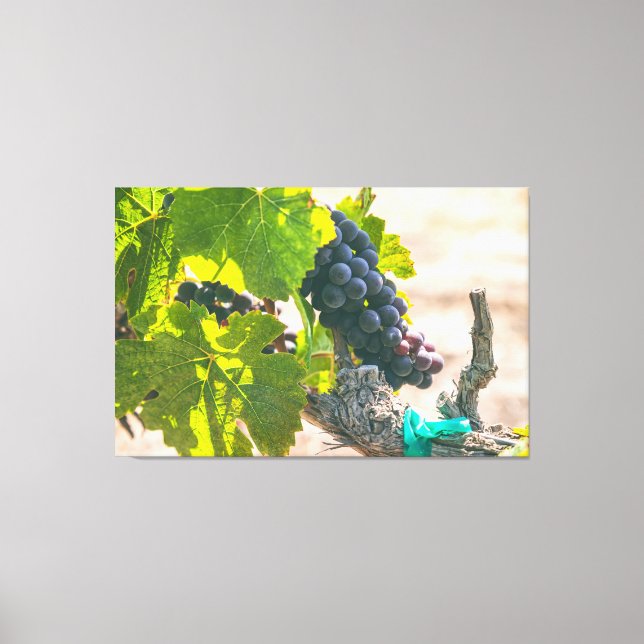 Lienzo Uvas en vinagre (Anverso)