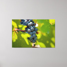 Lienzo Uvas en vinagre