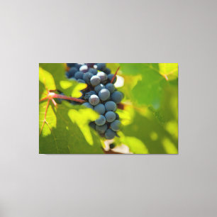 Lienzo Uvas en vinagre