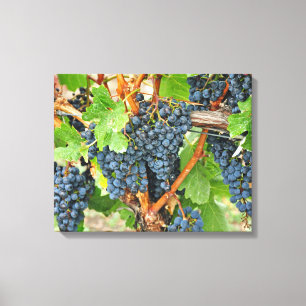 Lienzo Uvas moradas