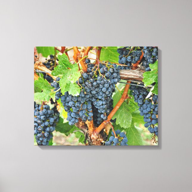 Lienzo Uvas moradas (Anverso)