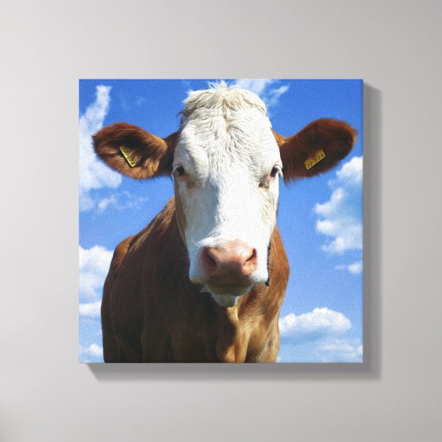 Lienzo Vaca bávara contra cielo azul (Anverso)