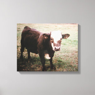 Lienzo Vaca Crema Marrón