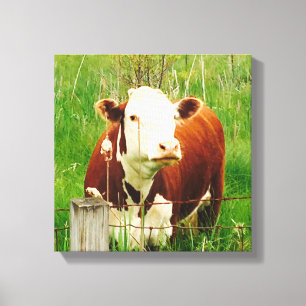 Lienzo Vaca Curiosa Linda 4Carrie