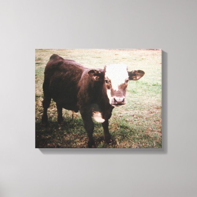Lienzo Vaca de crema marrón (Anverso)