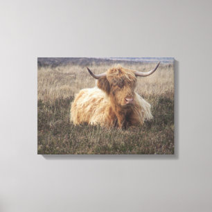 Lienzo Vaca de la montaña en Dartmoor