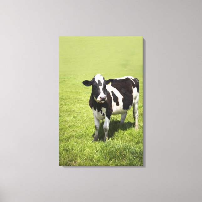 Lienzo Vaca en pradera (Anverso)