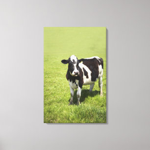 Lienzo Vaca en prado