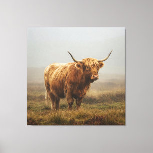 Lienzo Vaca Highland en DAWN