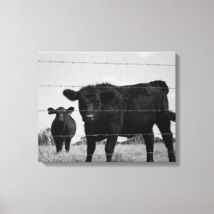 Lienzo Vaca negra y blanca y calf detrás de la valla de a