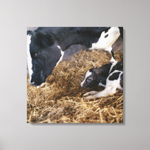 Lienzo Vaca y becerro en heno