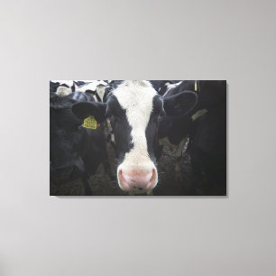Lienzo Vacas 3