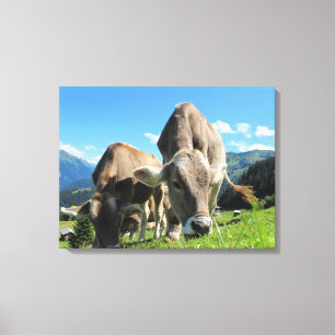 Lienzo Vacas arrasando en Austria